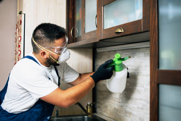 Trusted Fort Scott, KS Pest Control Experts