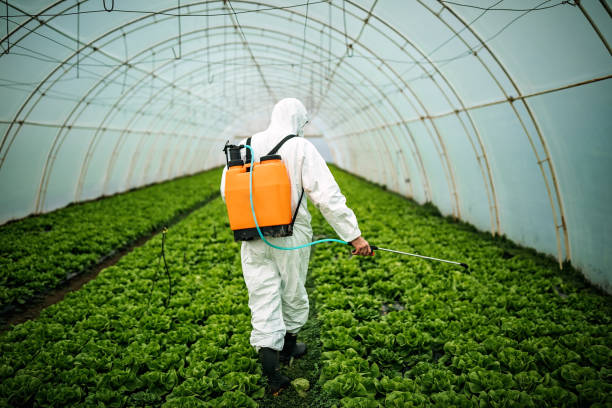 Professional Pest Control in Fort Scott, KS