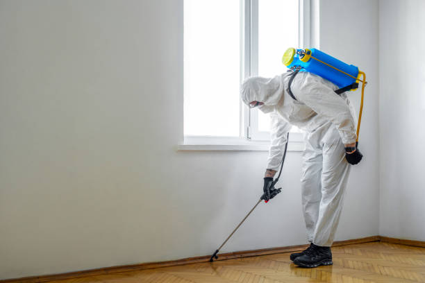 Pest Control for Restaurants in Fort Scott, KS