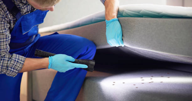 Best Affordable Pest Control Services  in Fort Scott, KS
