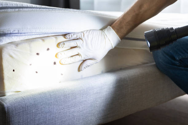 Best Pest Control Near Me in Fort Scott, KS