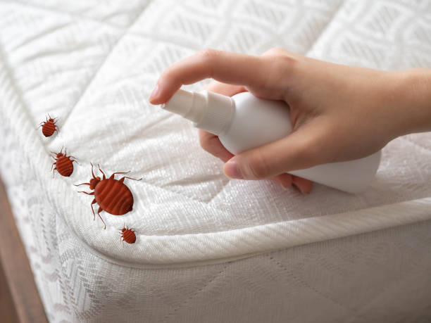 Best Flea Control Services  in Fort Scott, KS