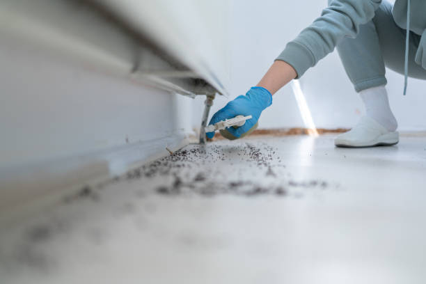 Best Termite Control Services  in Fort Scott, KS