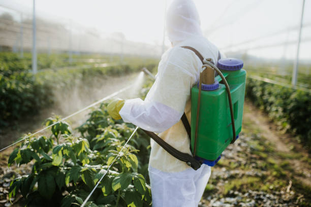 Best Exterminator Services  in Fort Scott, KS
